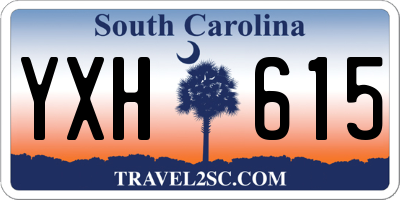 SC license plate YXH615