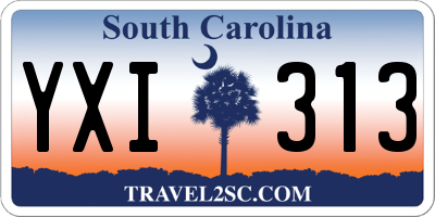SC license plate YXI313