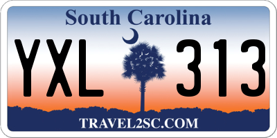 SC license plate YXL313