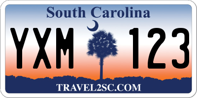 SC license plate YXM123
