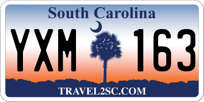 SC license plate YXM163