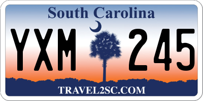 SC license plate YXM245