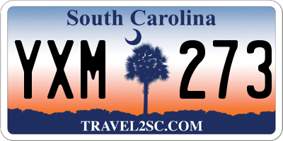 SC license plate YXM273