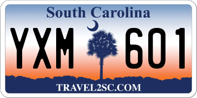 SC license plate YXM601
