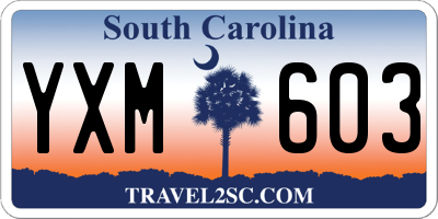 SC license plate YXM603