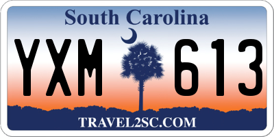 SC license plate YXM613