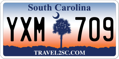 SC license plate YXM709