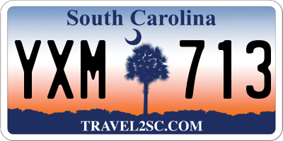 SC license plate YXM713