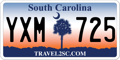 SC license plate YXM725