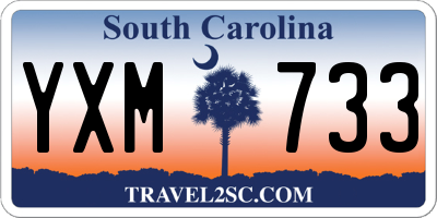 SC license plate YXM733