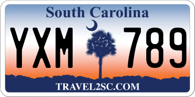 SC license plate YXM789