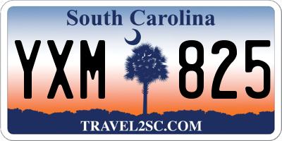 SC license plate YXM825