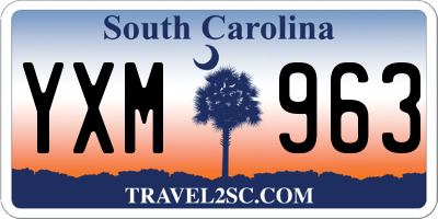 SC license plate YXM963