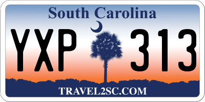SC license plate YXP313