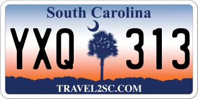 SC license plate YXQ313