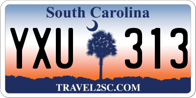 SC license plate YXU313