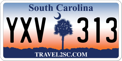 SC license plate YXV313