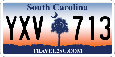 SC license plate YXV713