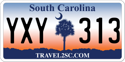 SC license plate YXY313