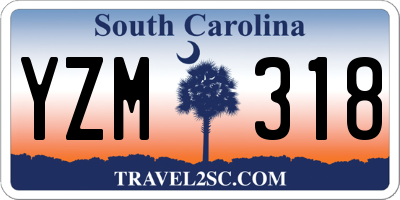 SC license plate YZM318