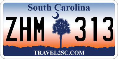 SC license plate ZHM313