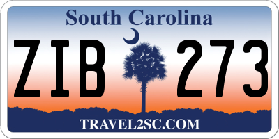 SC license plate ZIB273