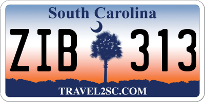 SC license plate ZIB313