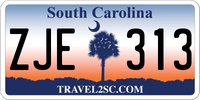 SC license plate ZJE313