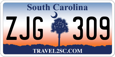 SC license plate ZJG309