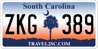 SC license plate ZKG389
