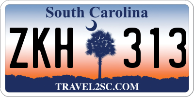 SC license plate ZKH313