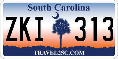 SC license plate ZKI313