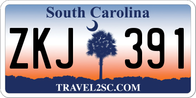 SC license plate ZKJ391