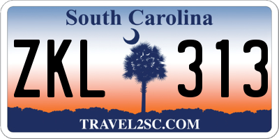 SC license plate ZKL313