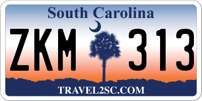 SC license plate ZKM313