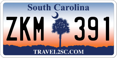 SC license plate ZKM391