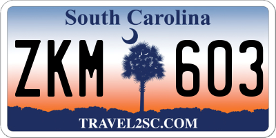 SC license plate ZKM603