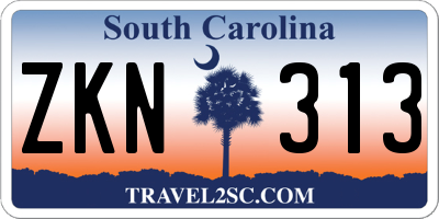SC license plate ZKN313