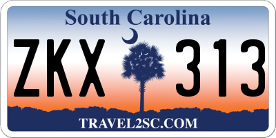 SC license plate ZKX313