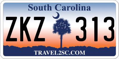 SC license plate ZKZ313