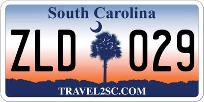 SC license plate ZLD029