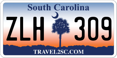 SC license plate ZLH309