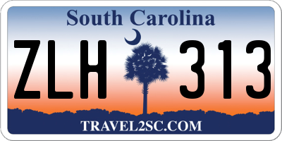SC license plate ZLH313