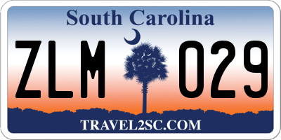 SC license plate ZLM029