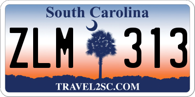 SC license plate ZLM313