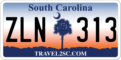 SC license plate ZLN313
