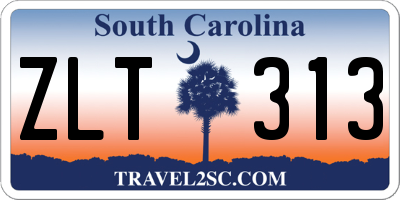 SC license plate ZLT313