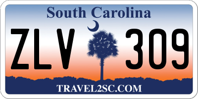 SC license plate ZLV309