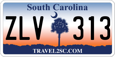SC license plate ZLV313