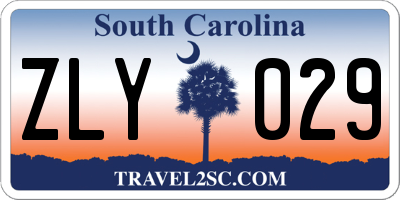 SC license plate ZLY029
